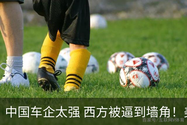 中国车企太强 西方被逼到墙角！美媒：马斯克拿飞行跑车开辟新赛道