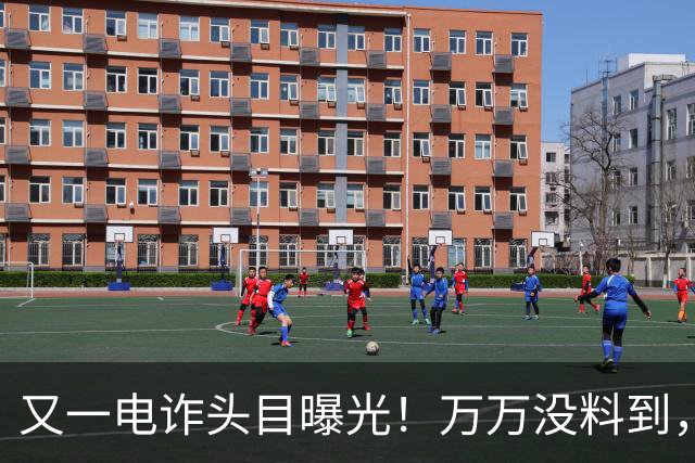 又一电诈头目曝光！万万没料到，这次竟不在缅北！做法让人震惊