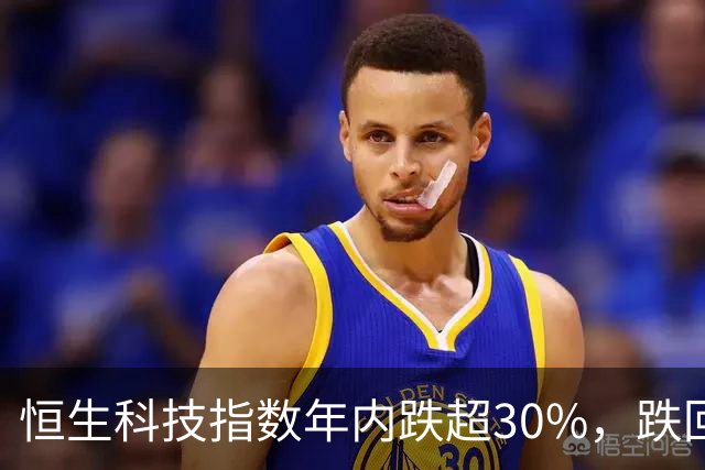 恒生科技指数年内跌超30%，跌回两年前