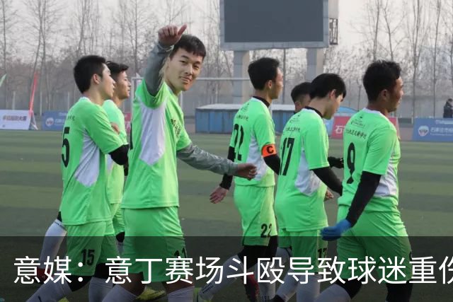 意媒：意丁赛场斗殴导致球迷重伤，11人被处5至10年观赛禁令