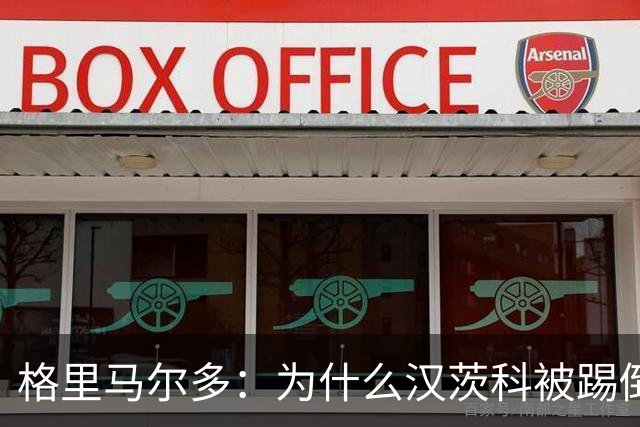 格里马尔多：为什么汉茨科被踢倒但VAR没介入？我们需要一个解释