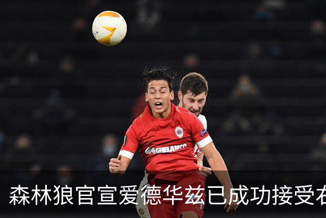 森林狼官宣爱德华兹已成功接受右膝关节镜手术