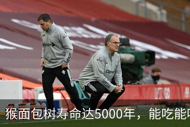 猴面包树寿命达5000年，能吃能喝又能住，为何引进中国却大变样？