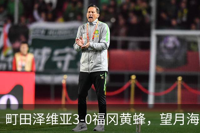 町田泽维亚3-0福冈黄蜂，望月海辉传射，延吉、前宽之破门