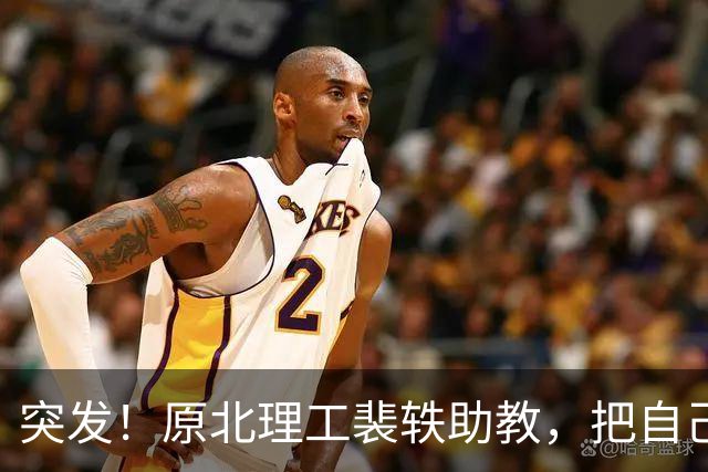 突发！原北理工裴轶助教，把自己的微博注销了