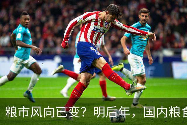 粮市风向已变？明后年，国内粮食行业或将迎来一轮深度调整？