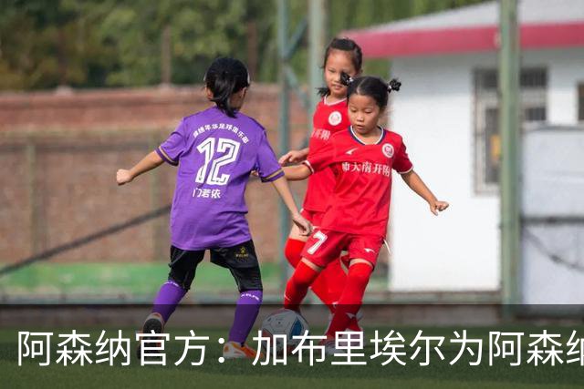 阿森纳官方：加布里埃尔为阿森纳完成200场英超出场